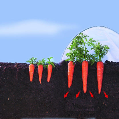 Folia do uprawy wczesnych warzyw Climafilm Nortene 2 x 10 m