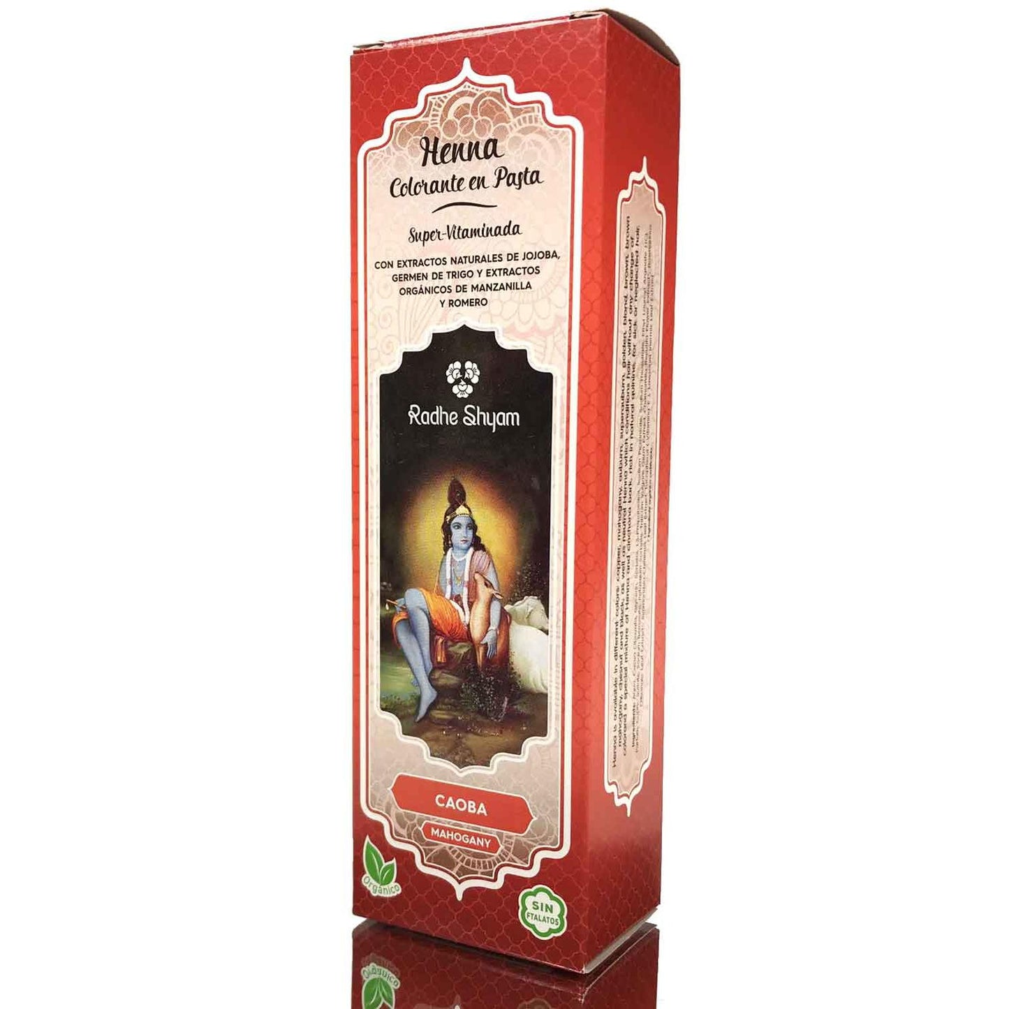 Pasta all'henné Radhe 200 ml Radhe