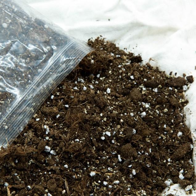 Substrato universale per carnivori 1 L