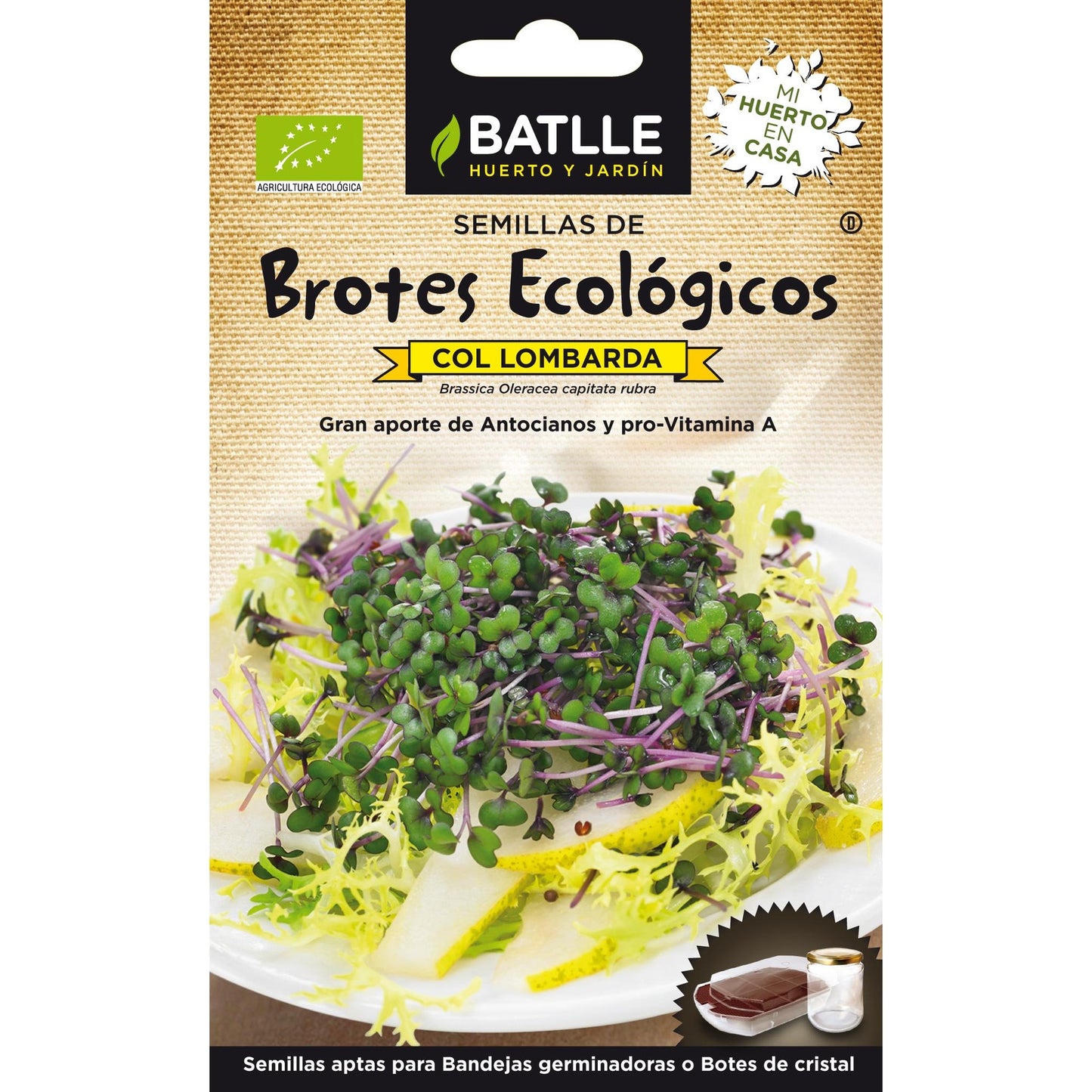 Ekologiczne nasiona czerwonej kapusty do kiełkowania Batlle