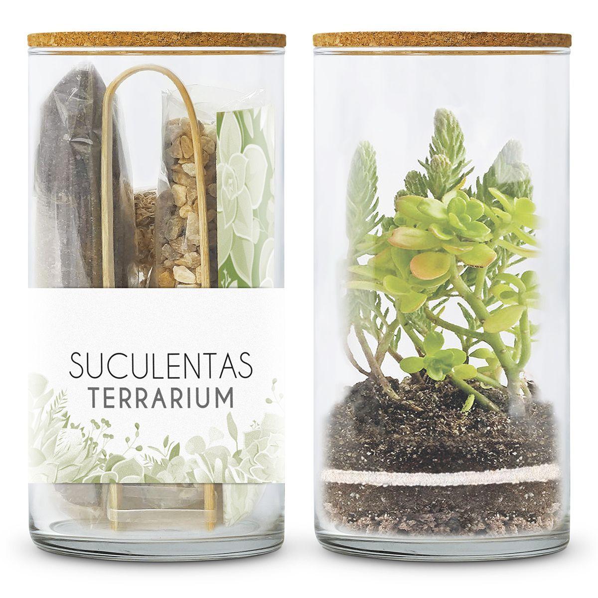 Terrarium-Set zum Anlegen Ihres Sukkulentengartens, Garden Pocket