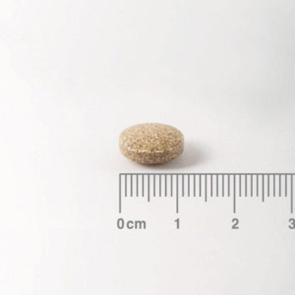 Ginkgo Biloba 6.000 mg, Lamberts 180 tabletas