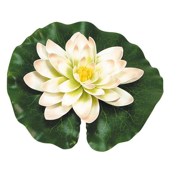 Biały liliowiec z kroplami