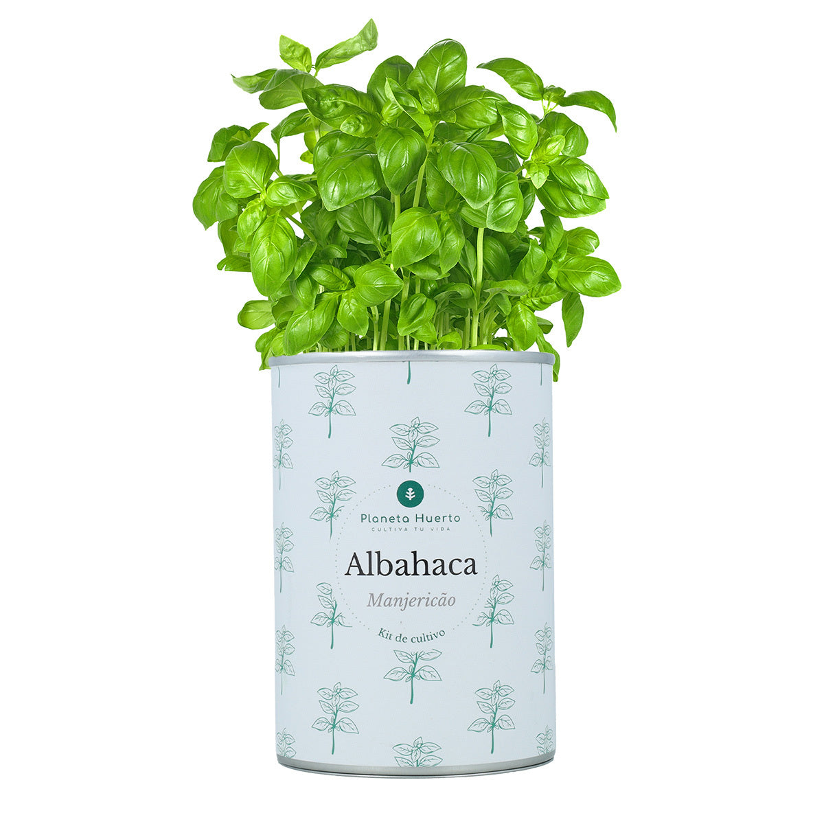 Pack Kits de cultivo aromáticas Planeta Huerto