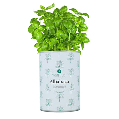 Pack Kits de cultivo aromáticas Planeta Huerto