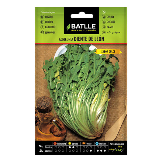 Semillas de Achicoria Diente de León Batlle