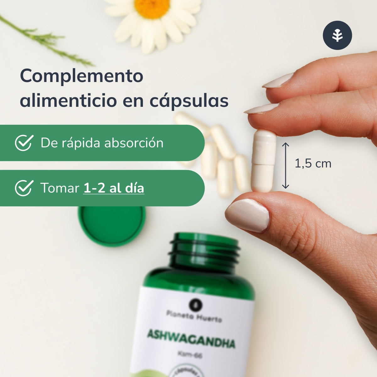 Pack 2x Ashwagandha KSM-66 Planeta Huerto 60 cápsulas