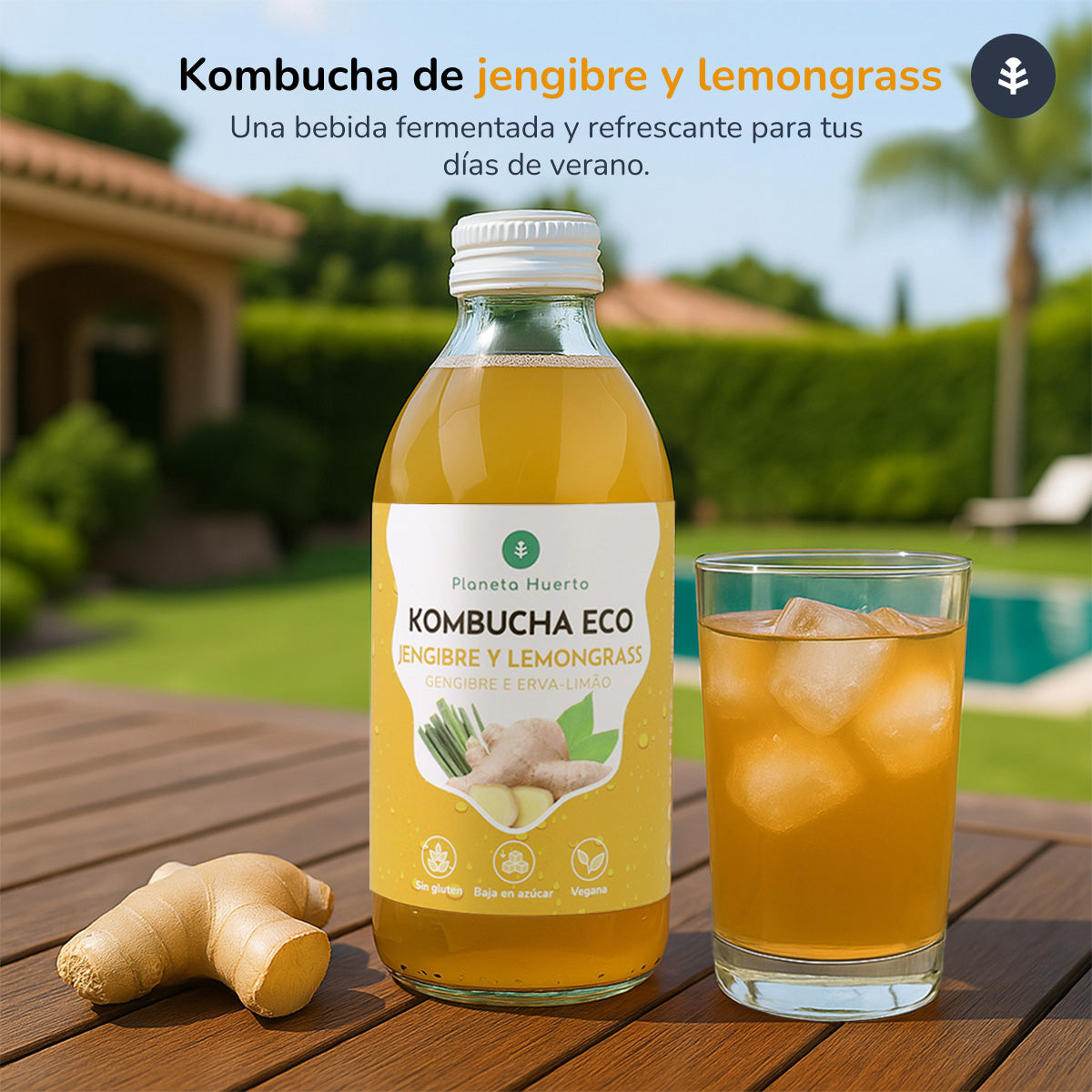 Kombucha ECO Imbir i trawa cytrynowa Planeta Huerto 330 ml