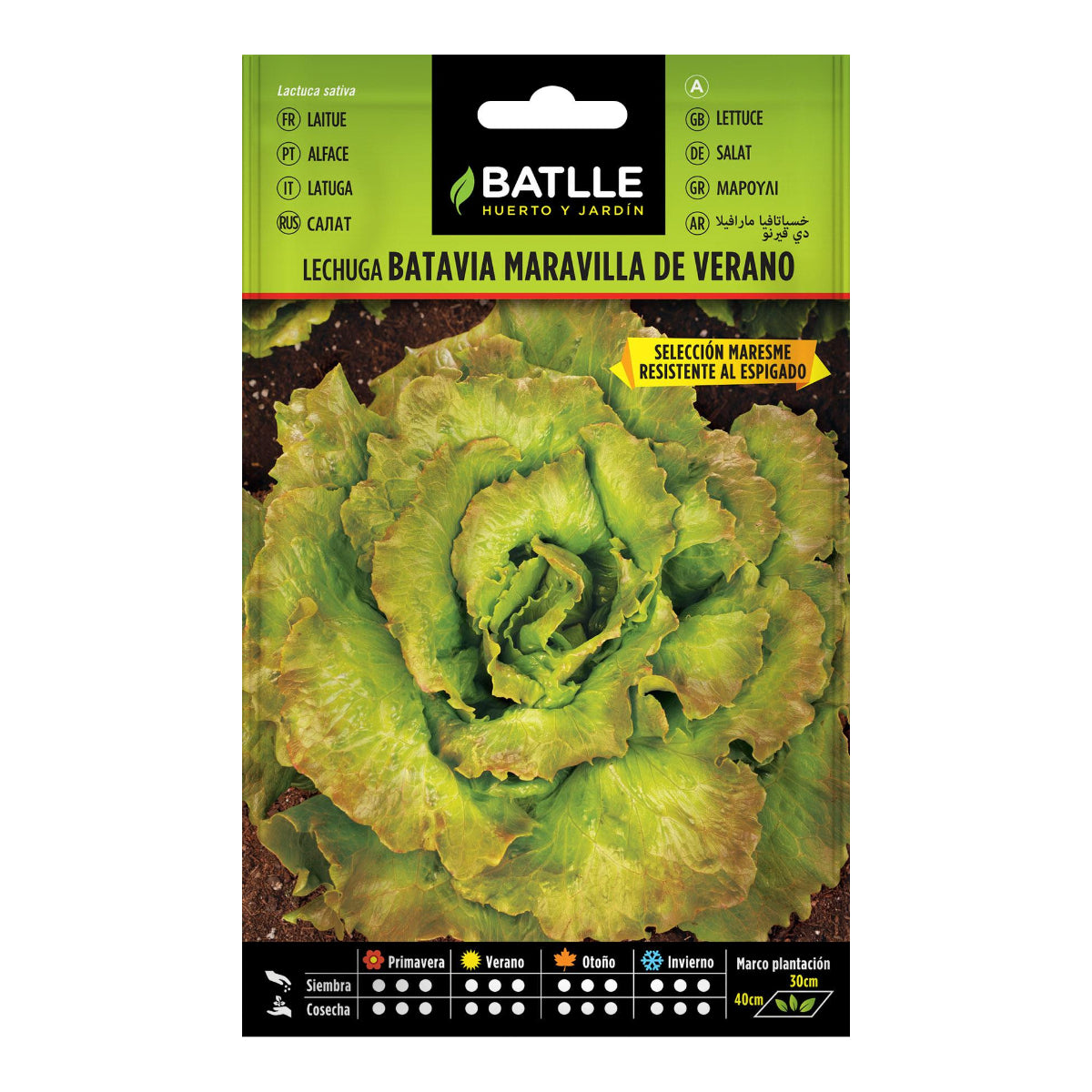 Graines de laitue Maravilla de Verano Batlle