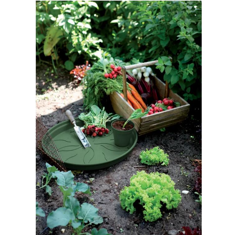 Doniczka Green Basics Elho Zielona 17 cm