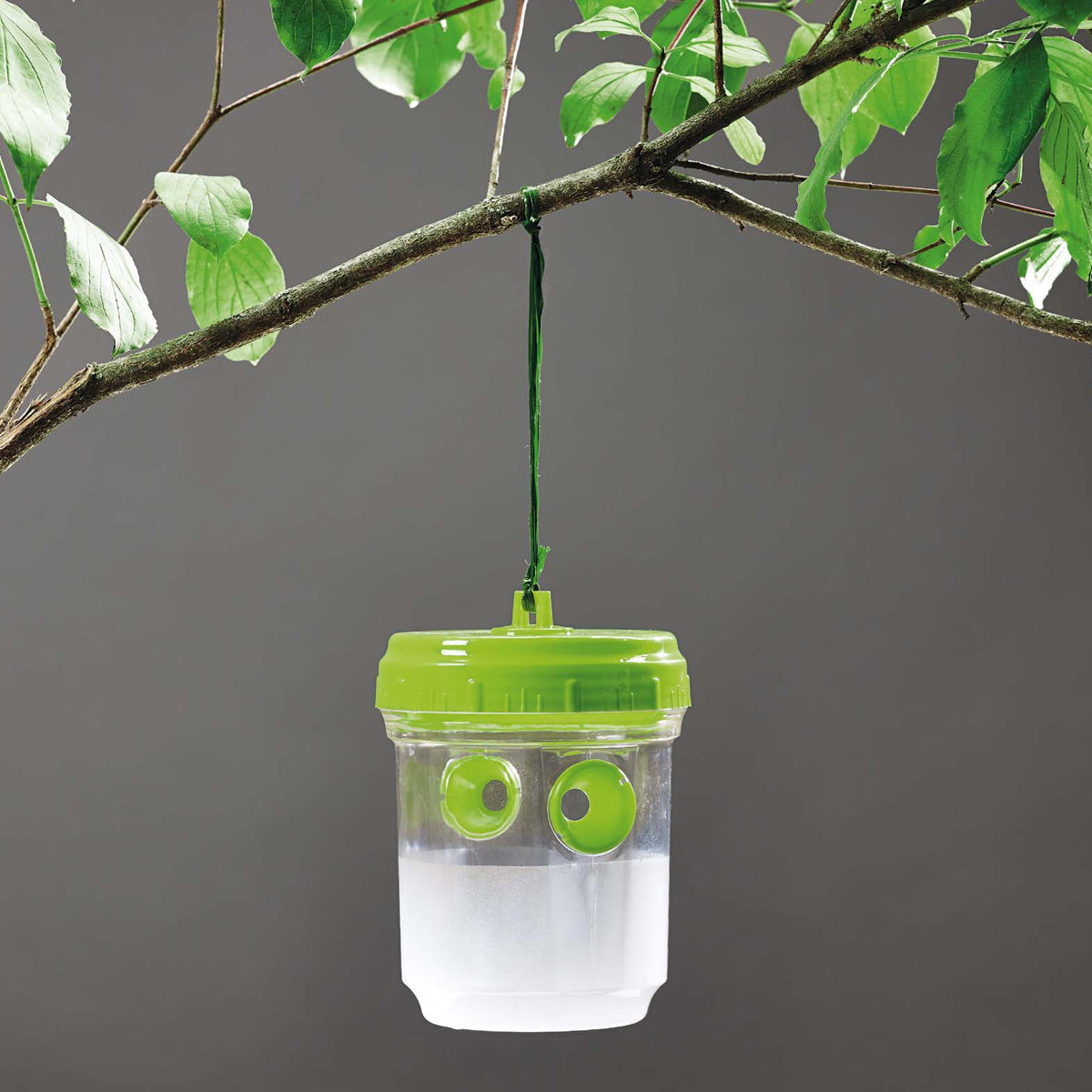 Verdemax mosquito, wasp and fruit fly trap, 2 units