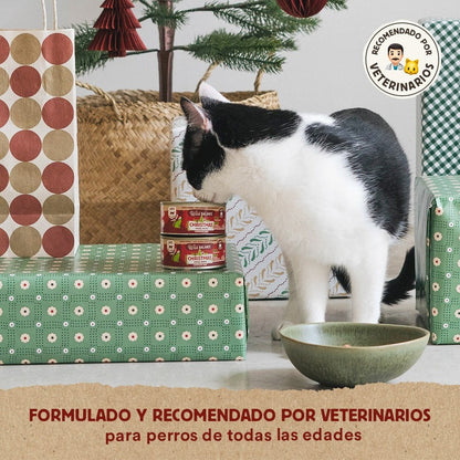 Boîte de recette de Noël BARF pour chats Wild Balance 120 g