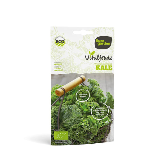Ökologische Westlande Herfst-Kale-Samen Vitalfoods