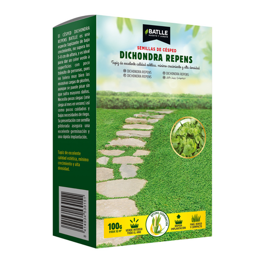 Graines de gazon Dichondra repens Batlle 100 g