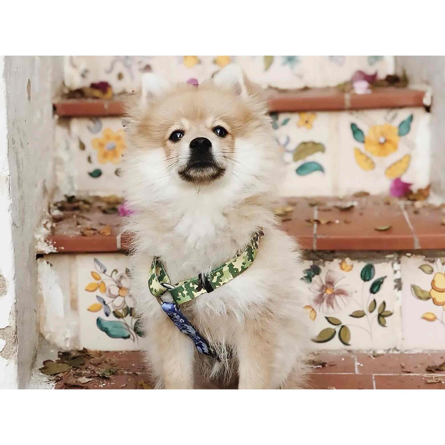 Klassiek hondenharnas CAMO Dukier L