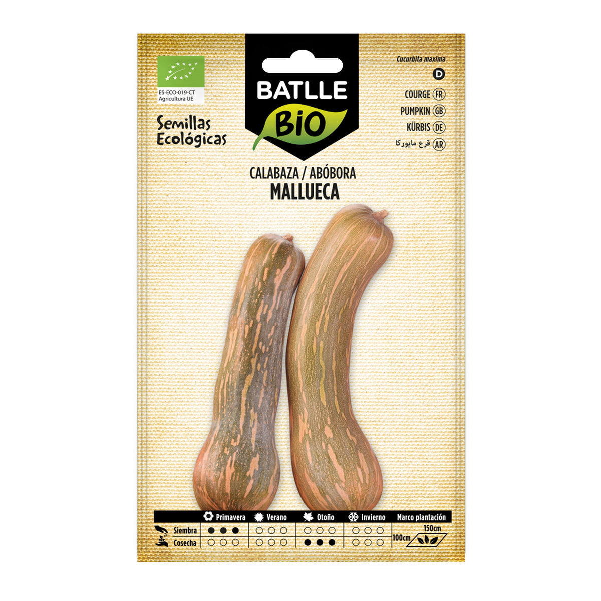 Graines de courge Mallorca bio Batlle