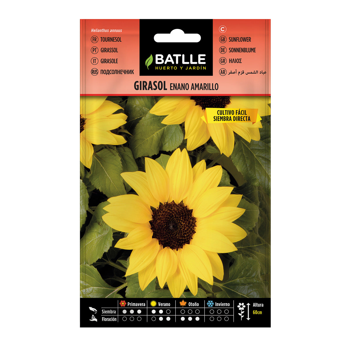 Batlle yellow dwarf sunflower seeds