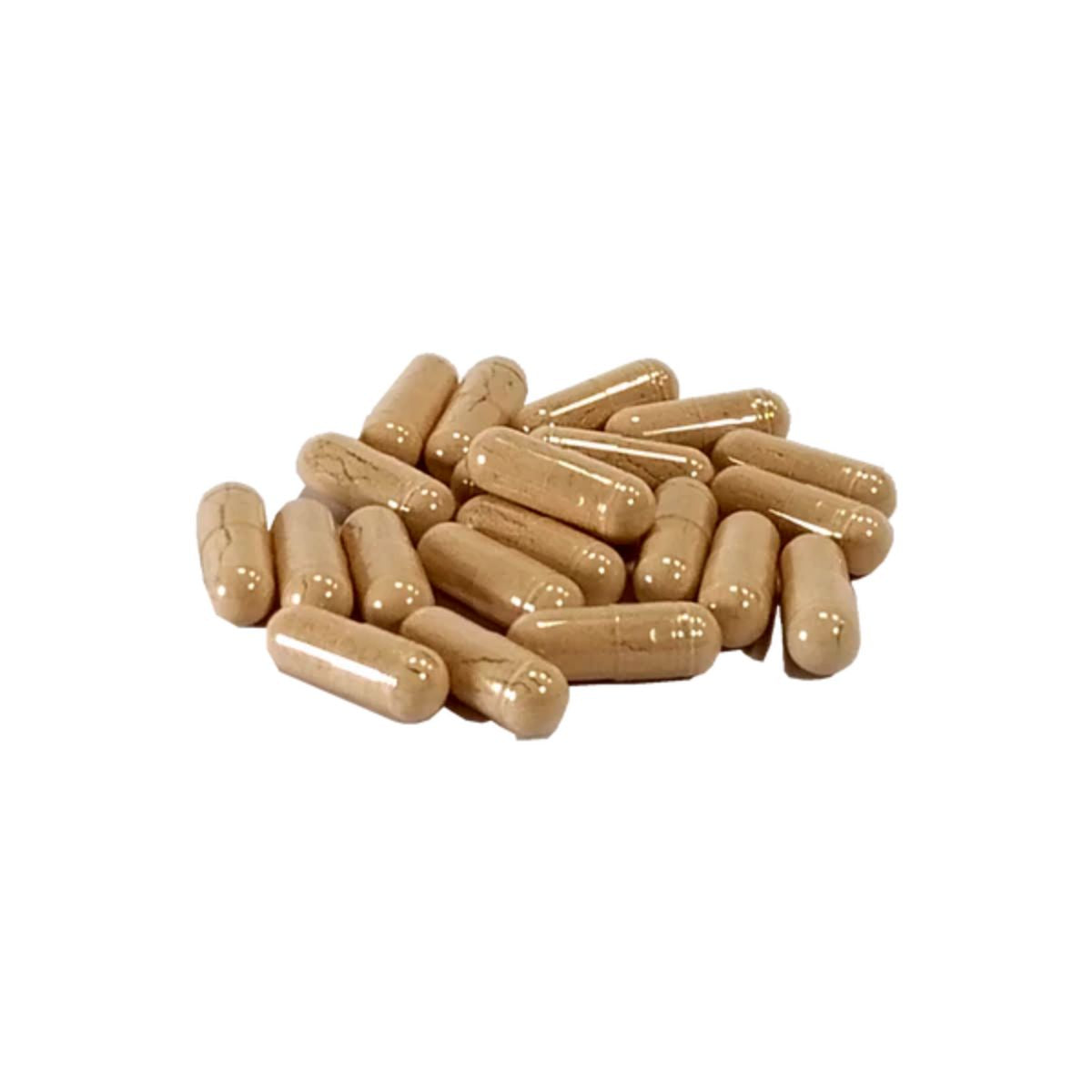 Repelente Garrapatas natural AniForte 60 caps Perros +35 kg