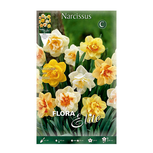 Bulbi di narciso doppio mix 5 pz