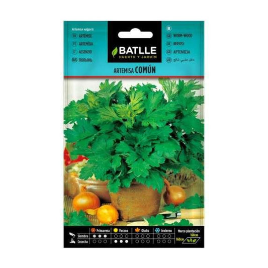 Graines d'armoise commune Batlle