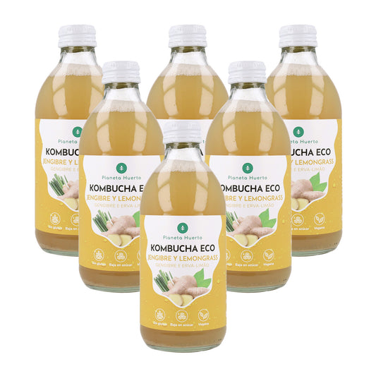 Pack 6x Kombucha ECO Ingwer und Zitronengras Planeta Huerto 330 ml