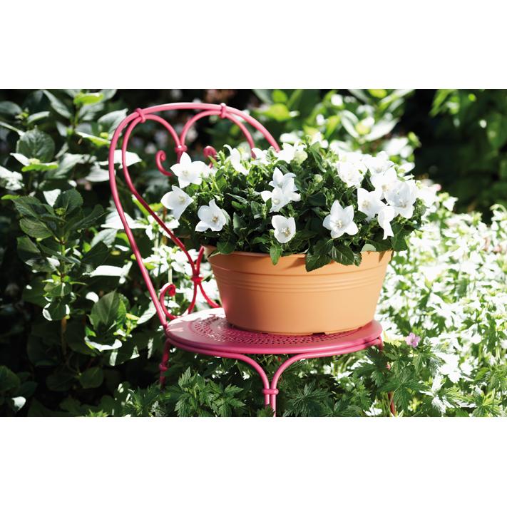 Bol rond Green Basics Elho Terra 27 cm