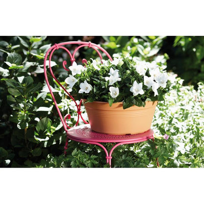 Bol rond Green Basics Elho Terra 27 cm