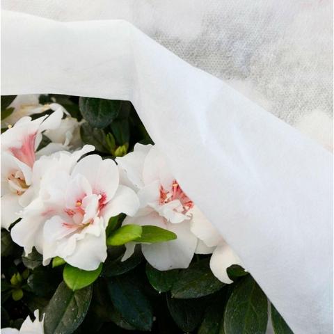 Anti-vorst beschermingsdoek Biotop 1,5 x 5 m 30 g/m²