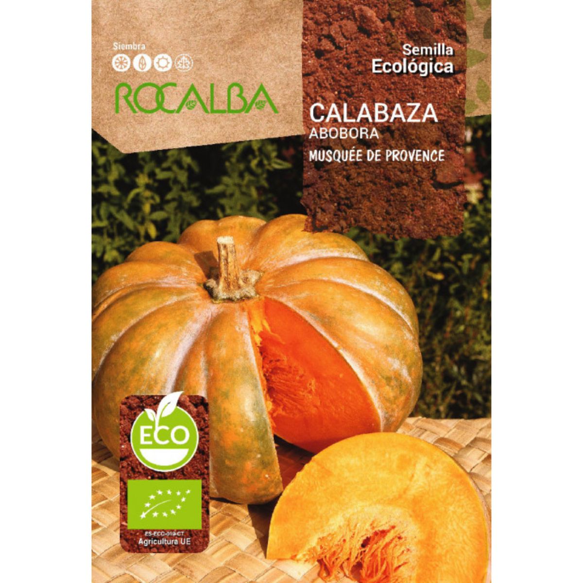 Graines de courge musquée de Provence bio Rocalba