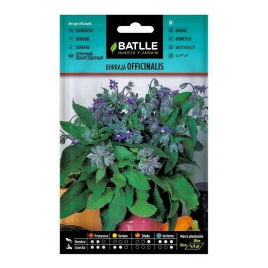 Graines de Bourrache officinale Batlle