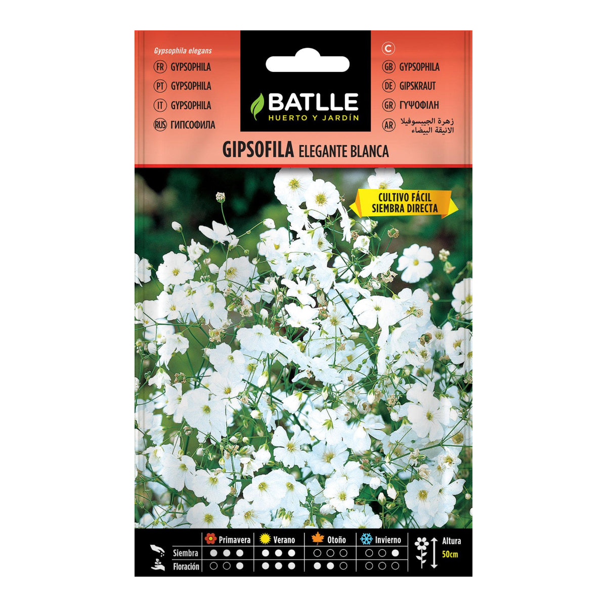 Graines de gypsophile élégante blanche Batlle