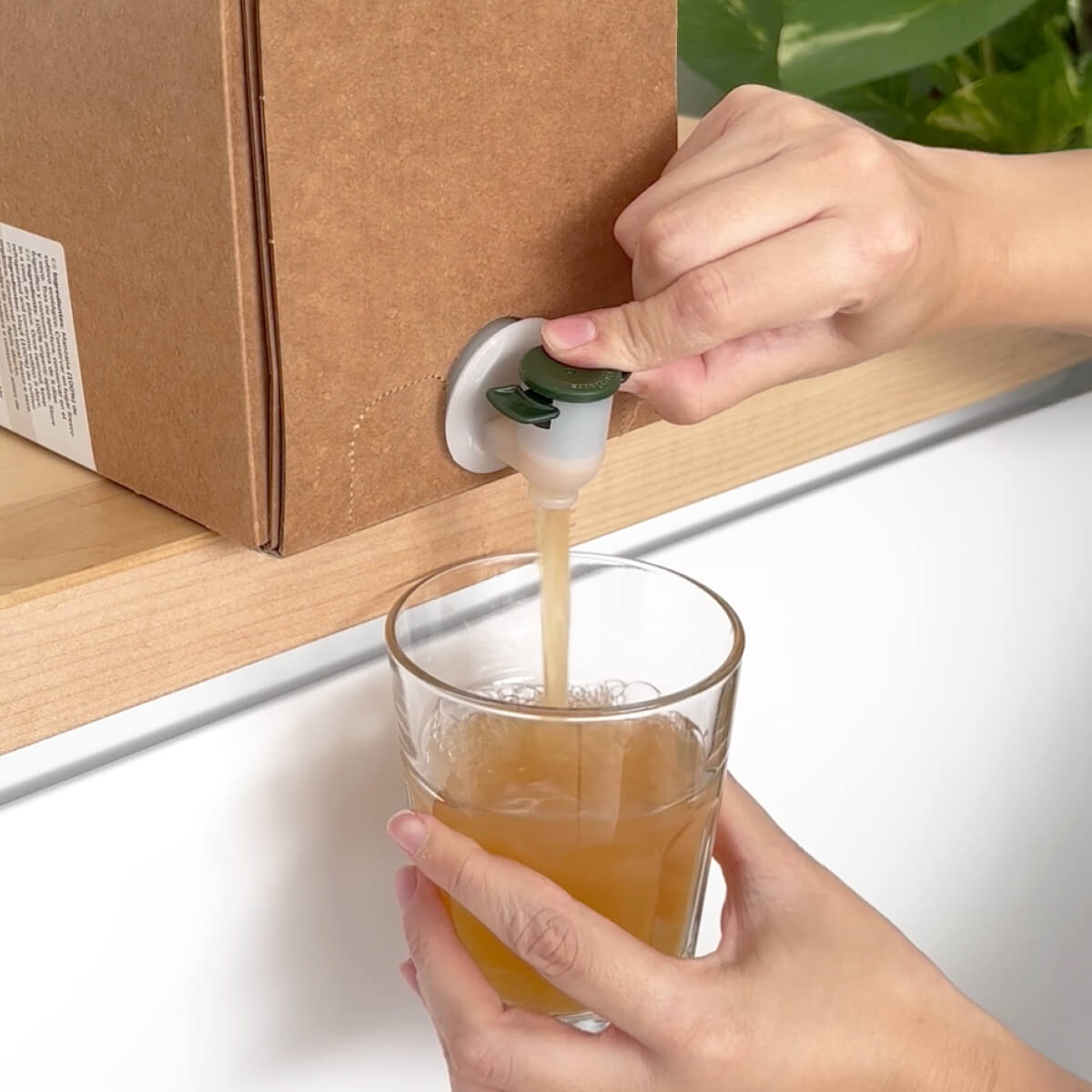 Sok jabłkowy 100% wyciskany Eco Bag in Box Planeta Huerto 3 l