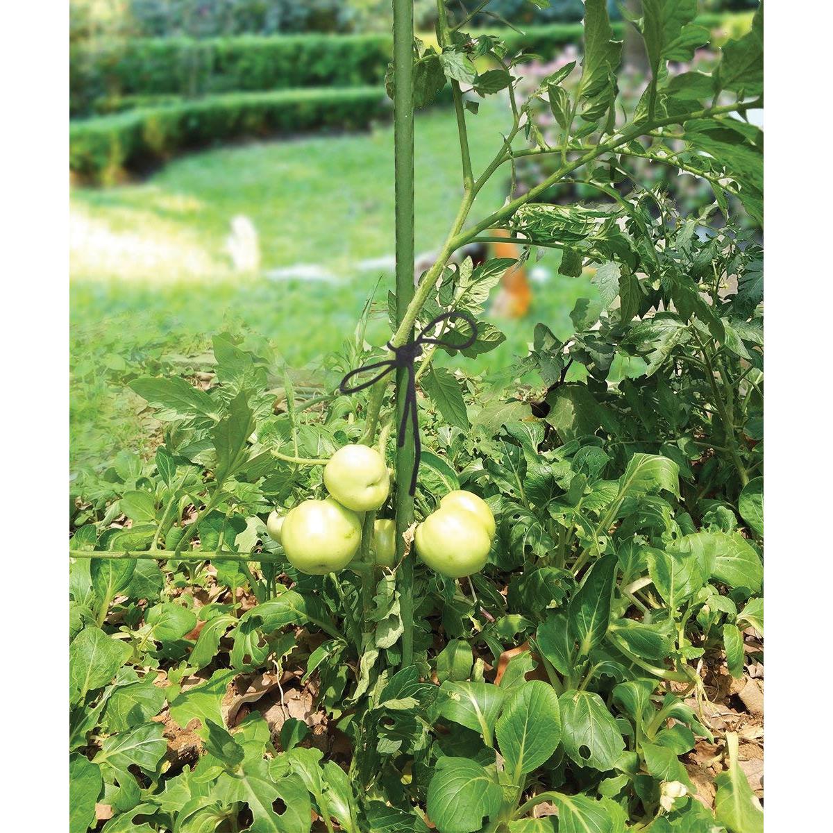 Tutor allungabile 60 cm Biotop 60 cm.