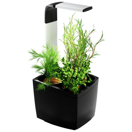 Zelfkweekpot T3 Kitchen Garden 20 x 17,5 cm Zwart