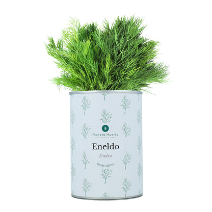 Aromatischer Anbau Kits Chest Pack Planeta Huerto