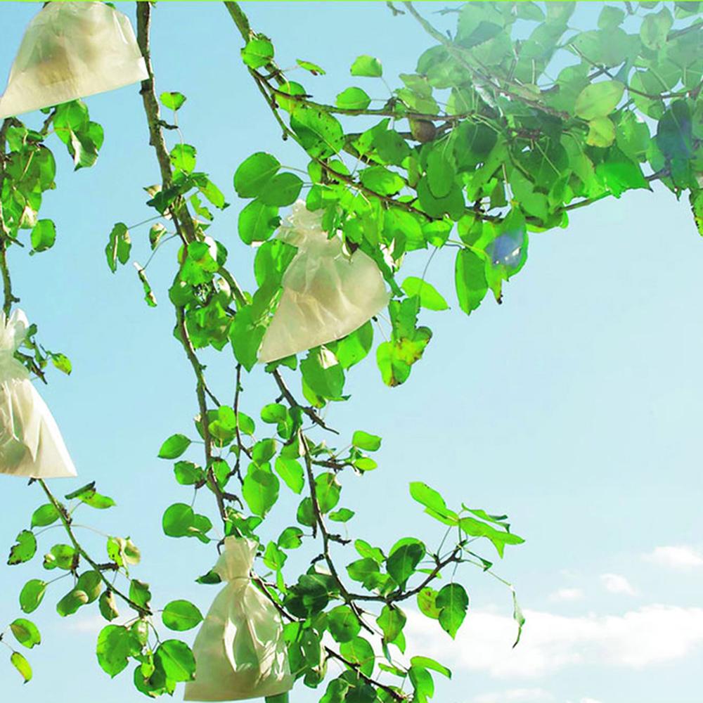 Skyddsöverdrag för frukt Fruitsac Nortene 50 st. 17 x 22 cm.