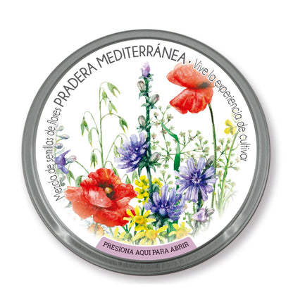 Mediterranean Meadow Seed Mix