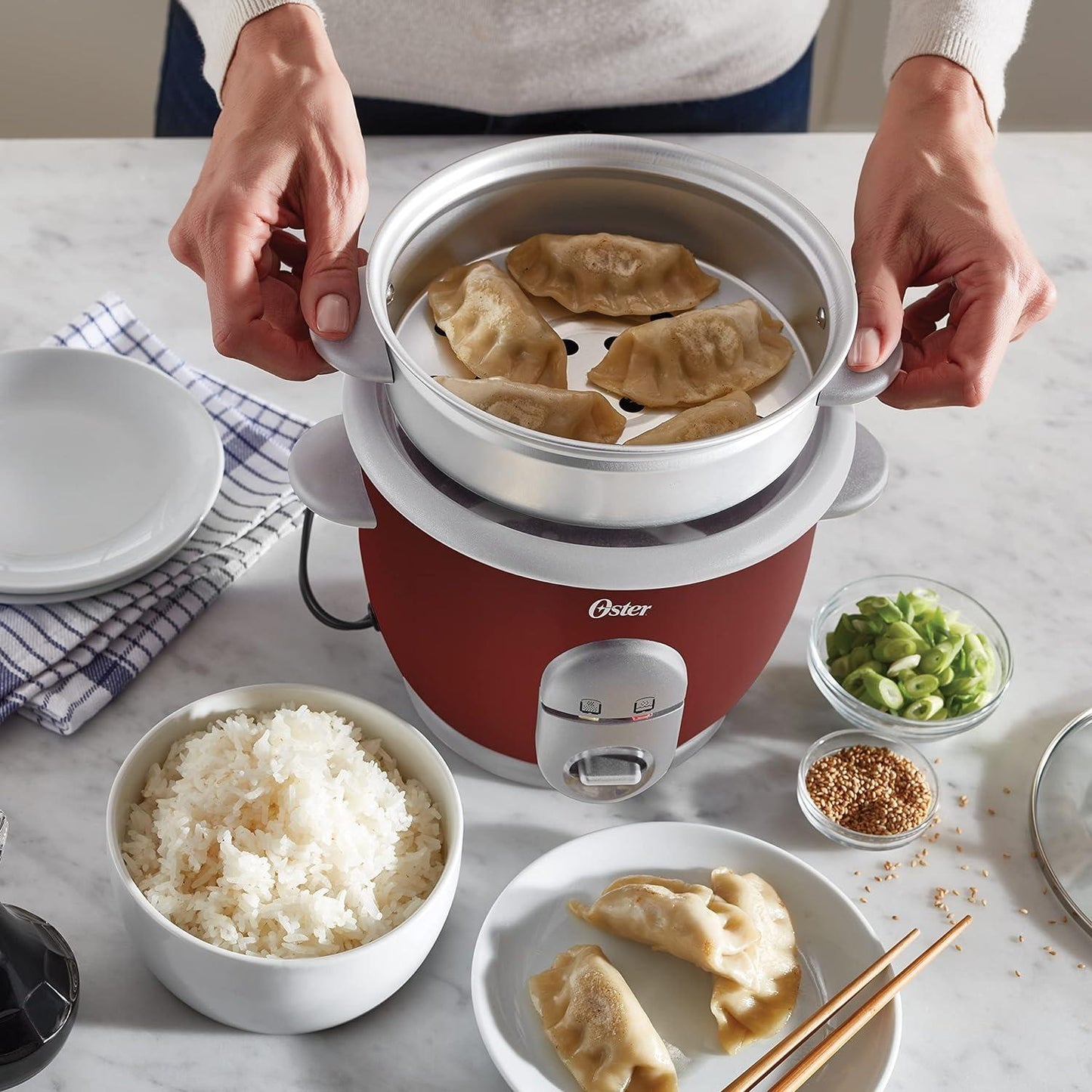 Cuiseur à riz vapeur CKSTRC4723 0,6 L Oster