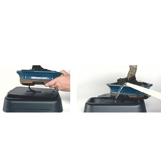 Automatiskt bevattningssystem för bonsaiträd 25 cm Hidrobonsai