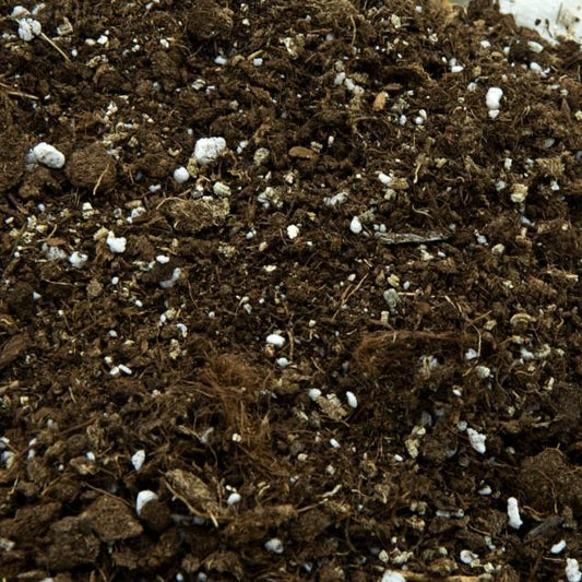 Universele substraat voor carnivoren 1 L