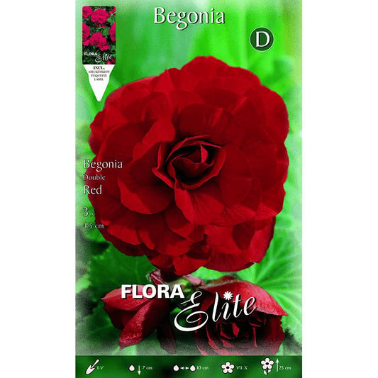 Bulbo Begonia doppio rosso scarlatto 3 pz