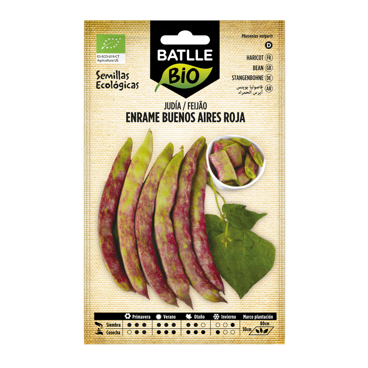 Graines de haricots rouges Buenos Aires bio Batlle