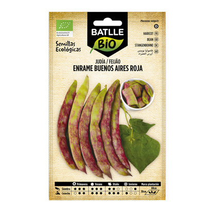 Graines de haricots rouges Buenos Aires bio Batlle