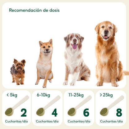 Articulaciones de Acero Suplemento natural para mascotas Wild Balance 100 g