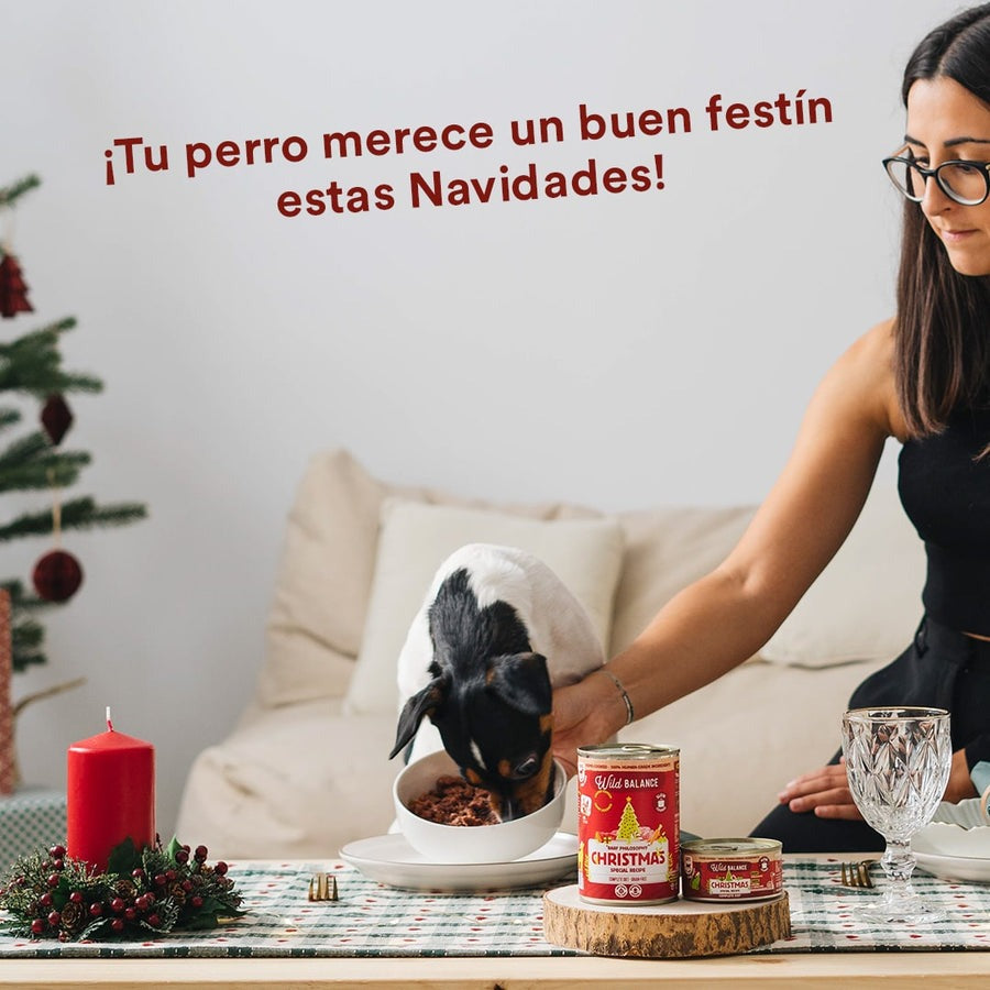 Barattolo Ricetta di Natale BARF cervo e coniglio per cani Wild Balance 400 g