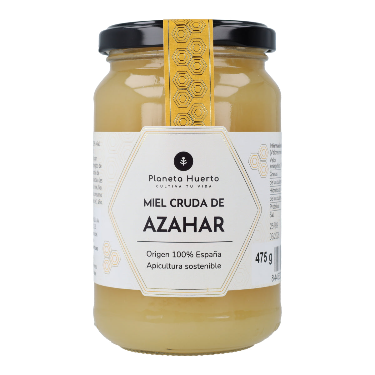 8445303208616_01.jpg