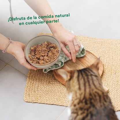 BARF-Pack Schwein und Gemüse für Katzen 6 x 120 g Wild Balance