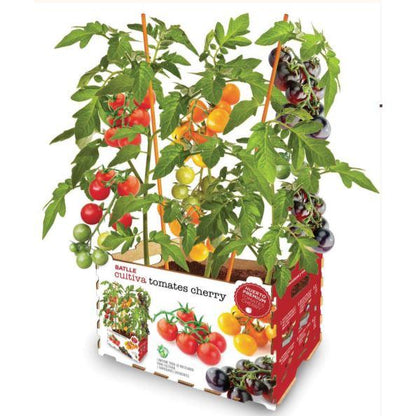 Premium Cherry Tomato Garden Batlle