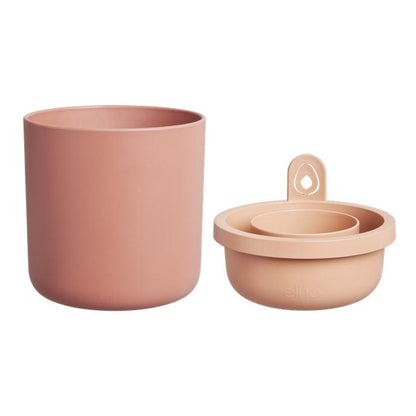 Amazing Avocado Elho Terra avocado germinator pot