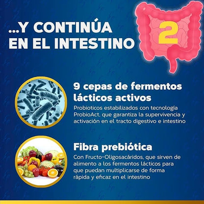 Maxi Enzymes avec Probiotiques, Tongil, 80 gélules végétales